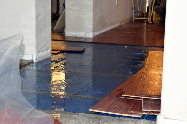 Professional Basement Water Removal technician working in Clayville, RI