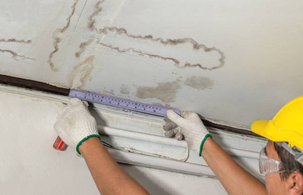Reliable Basement Water Removal contractor in Clayville, RI by Water Damage Irwin